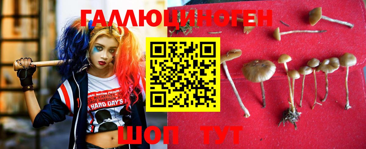 Псилоцибиновые грибы мицелий Янаул