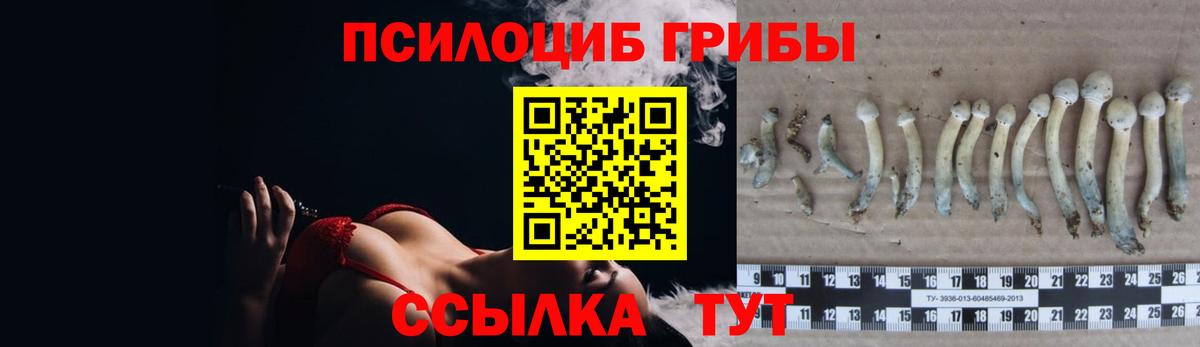 дарнет шоп  Галлюциногенные грибы прущие грибы  Вход с VPN  Галлюциногенные грибы Psilocybe  Янаул 